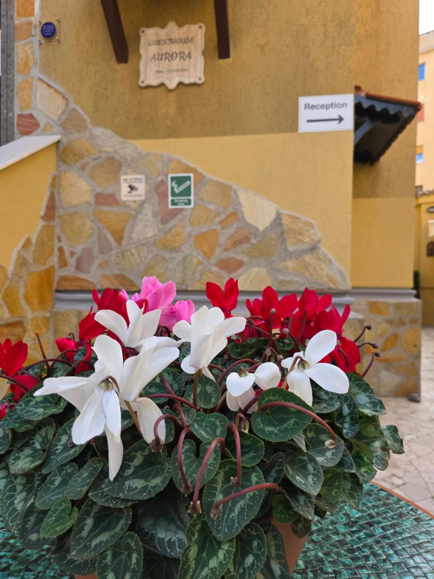 Guesthouse Aurora A.E. Рим Екстер'єр фото